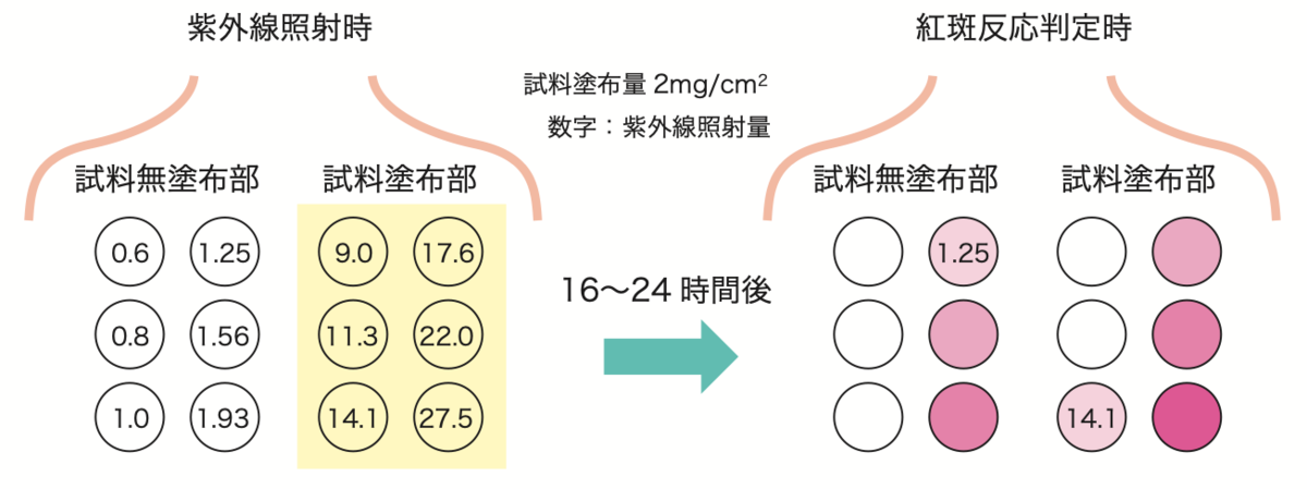 SPFの算出方法