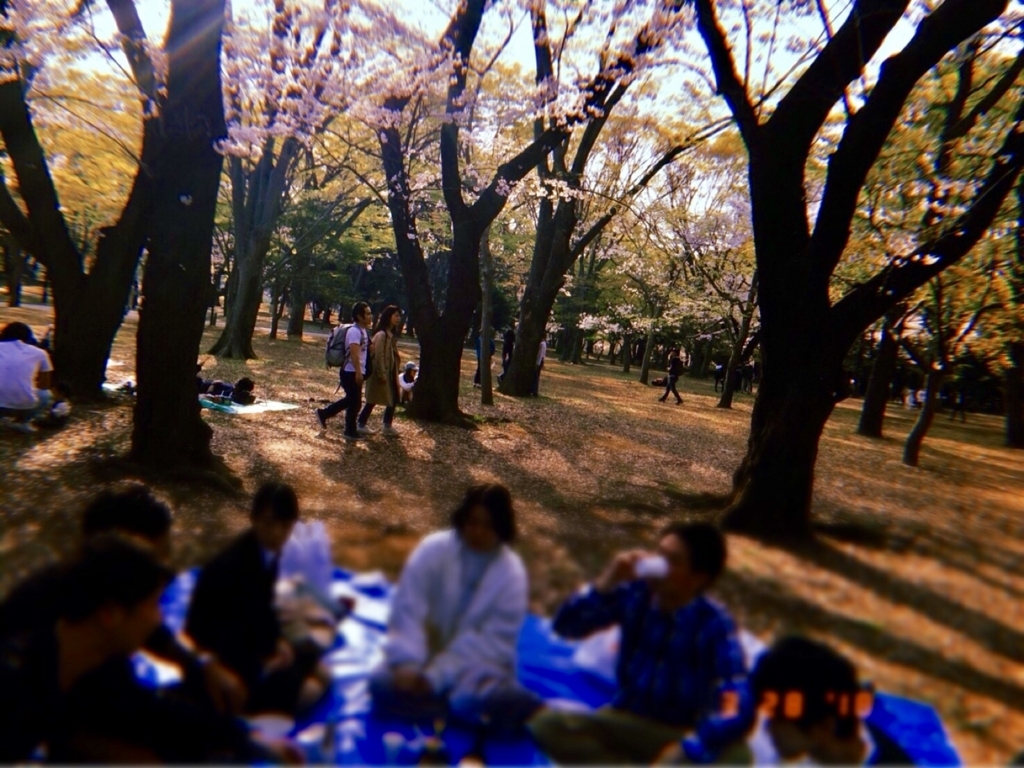 f:id:ahirugirl:20180331235442j:plain