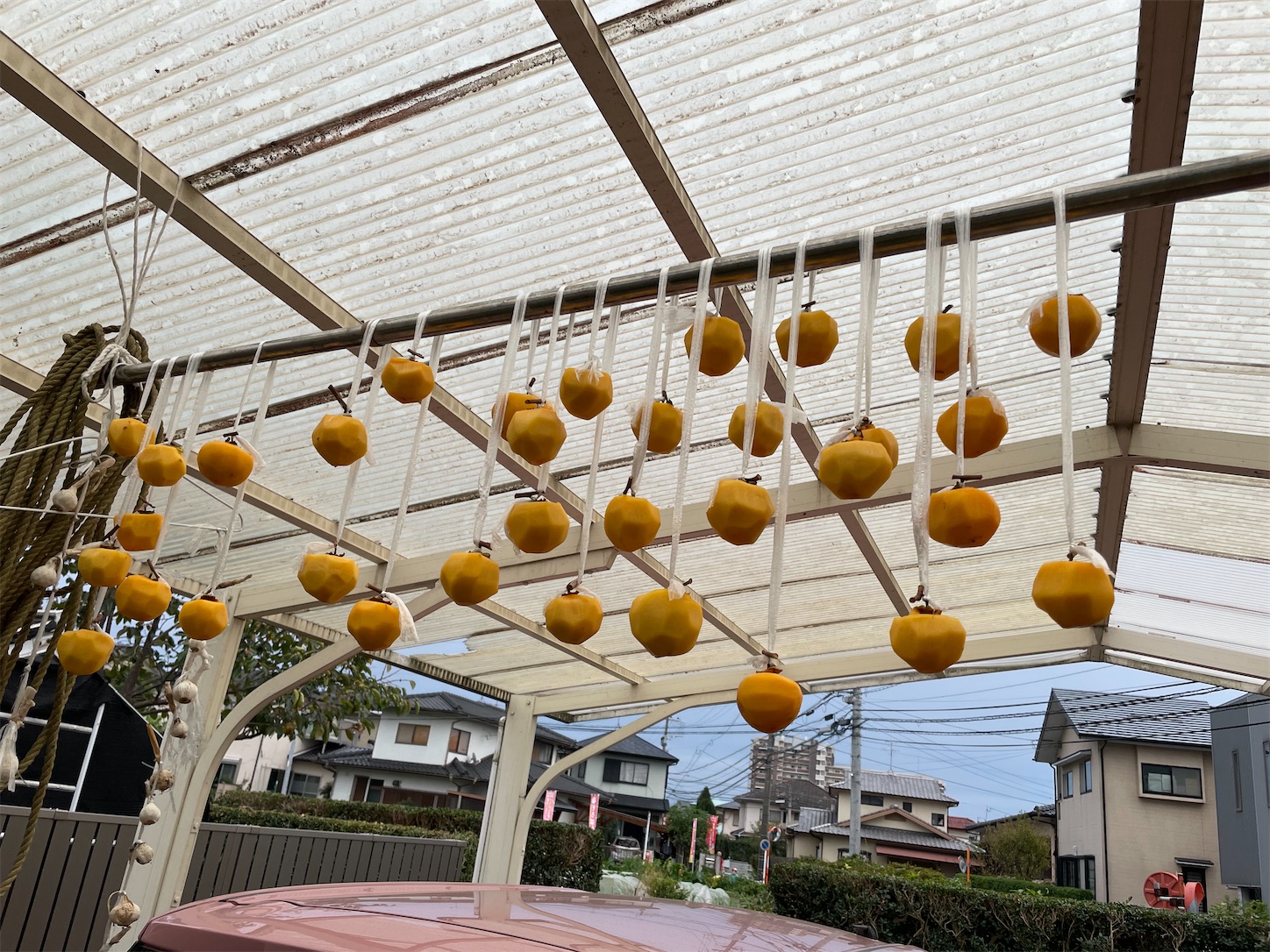 f:id:ahirunex:20221016165323j:image