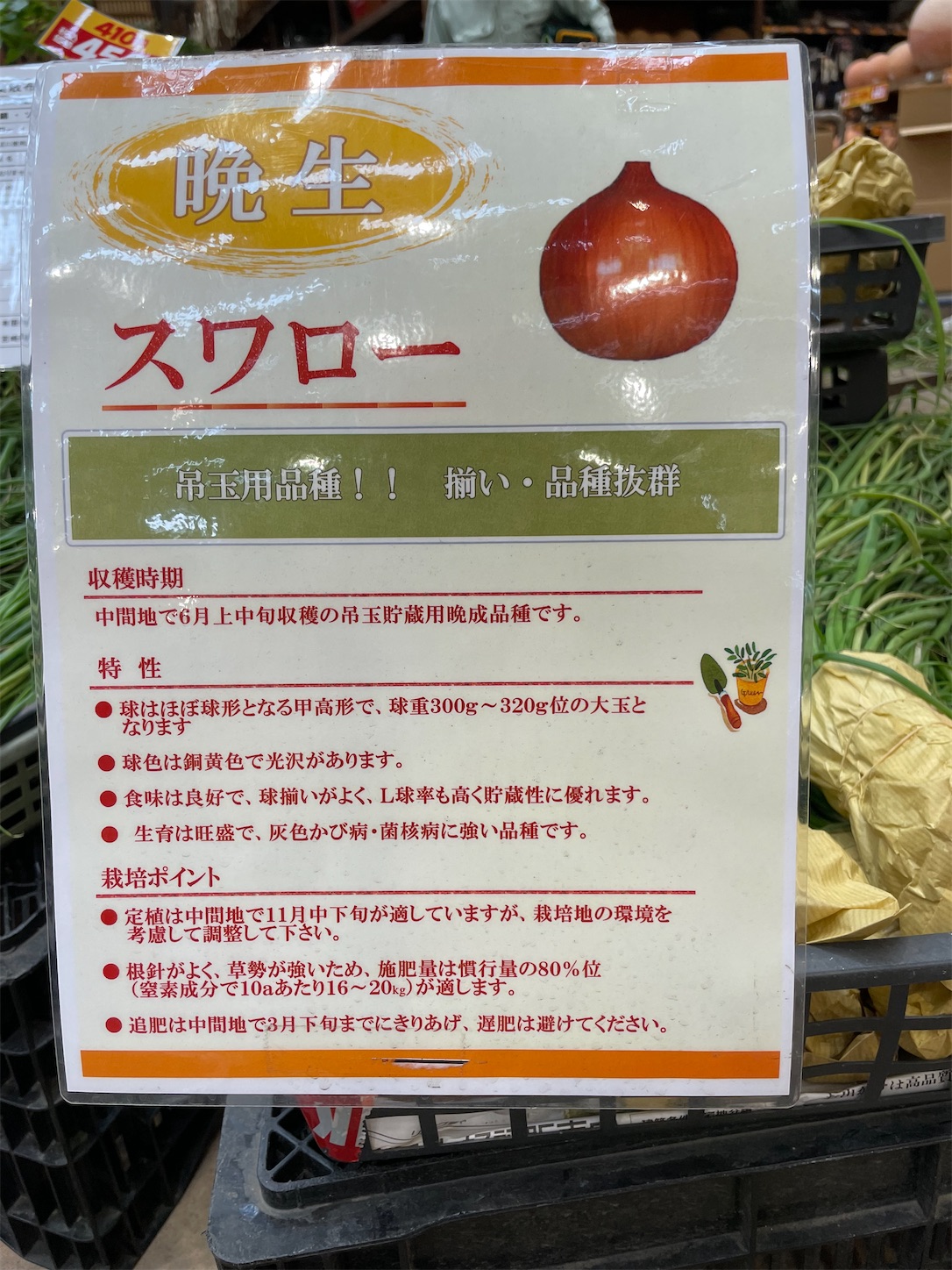 f:id:ahirunex:20231016062538j:image