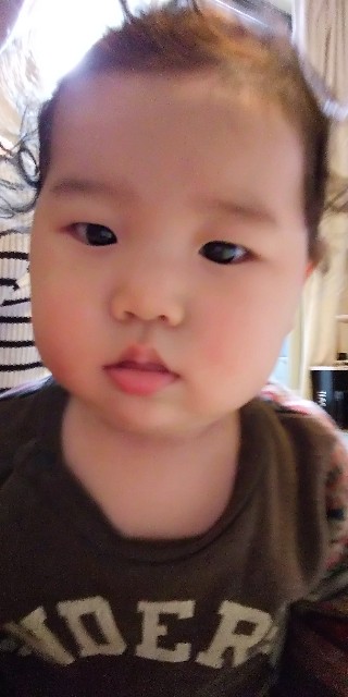 f:id:ahirunikki:20191010223252j:image