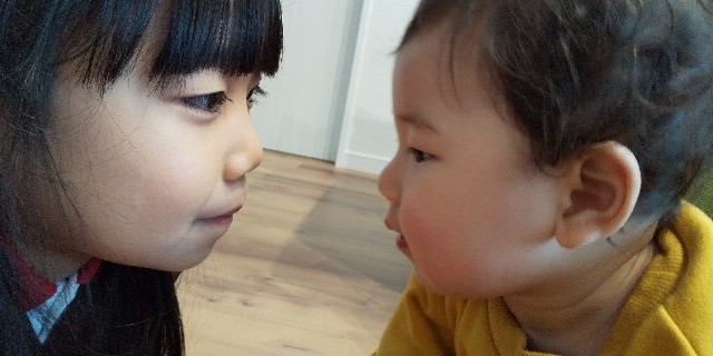 f:id:ahirunikki:20200203130504j:image f:id:ahirunikki:20200203130504j:image