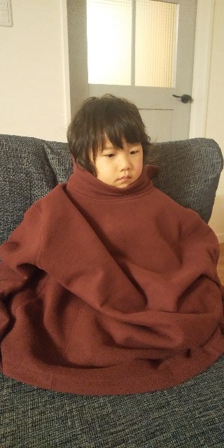 f:id:ahirunikki:20220127071527j:image