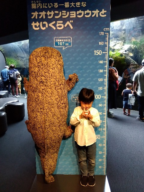 f:id:ahirunikki:20241017064640j:image f:id:ahirunikki:20241017064640j:image