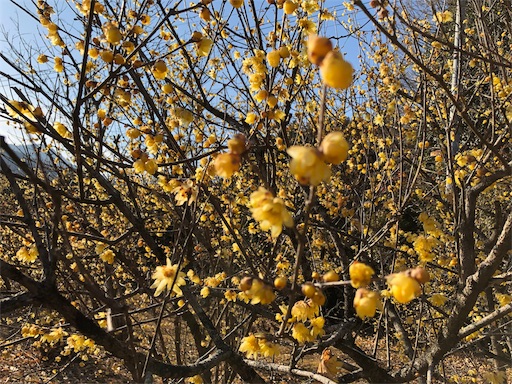 f:id:ahkan:20190203213747j:image f:id:ahkan:20190203213747j:image