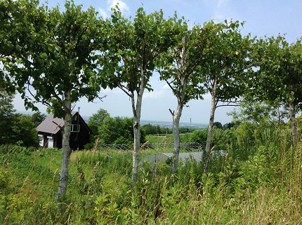 f:id:ahmefuri:20120729123552j:image f:id:ahmefuri:20120729123552j:image