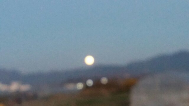 f:id:aho7:20171204191849j:image
