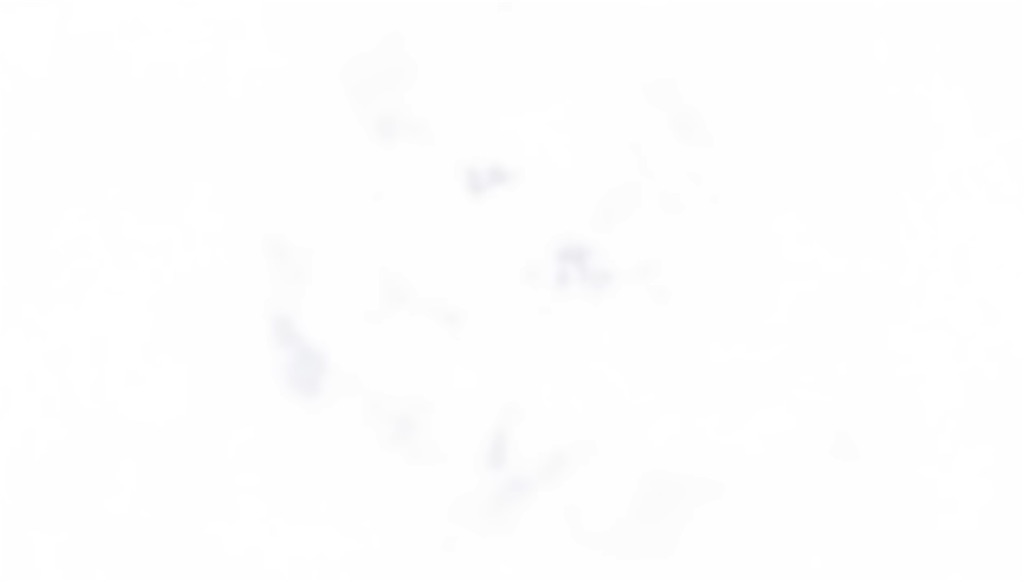 f:id:ahomanukep5:20250731221743j:image