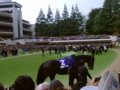 20091129144511