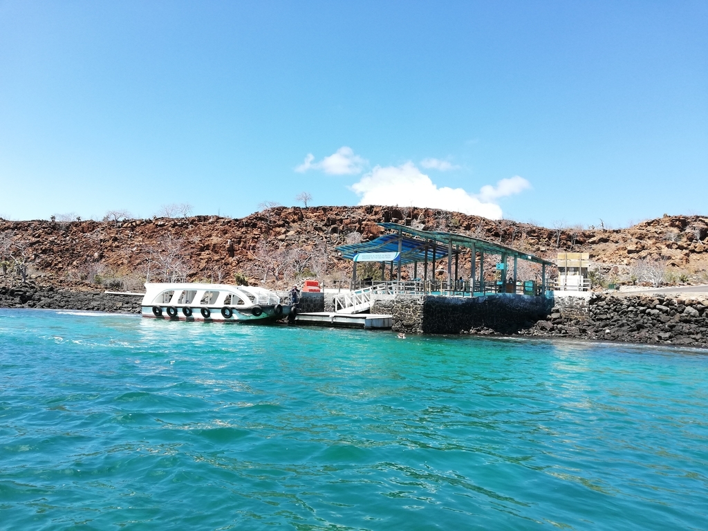 f:id:ahrd:20181228010305j:plain