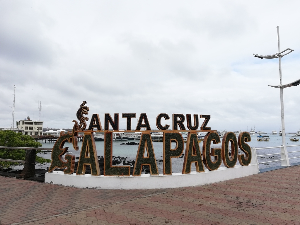 f:id:ahrd:20181228010451j:plain