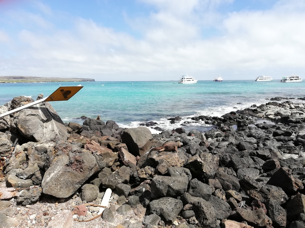 f:id:ahrd:20181228010655j:plain