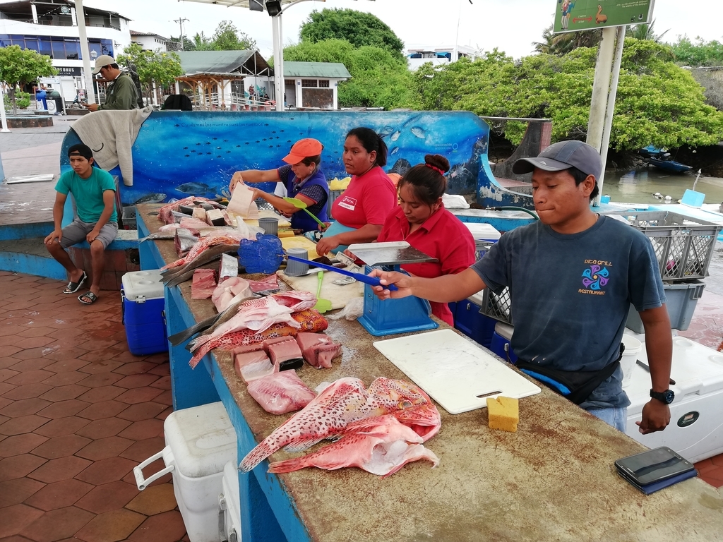 f:id:ahrd:20181228011448j:plain