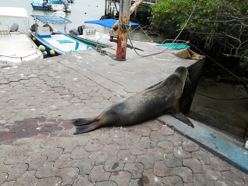 f:id:ahrd:20181228011951j:plain