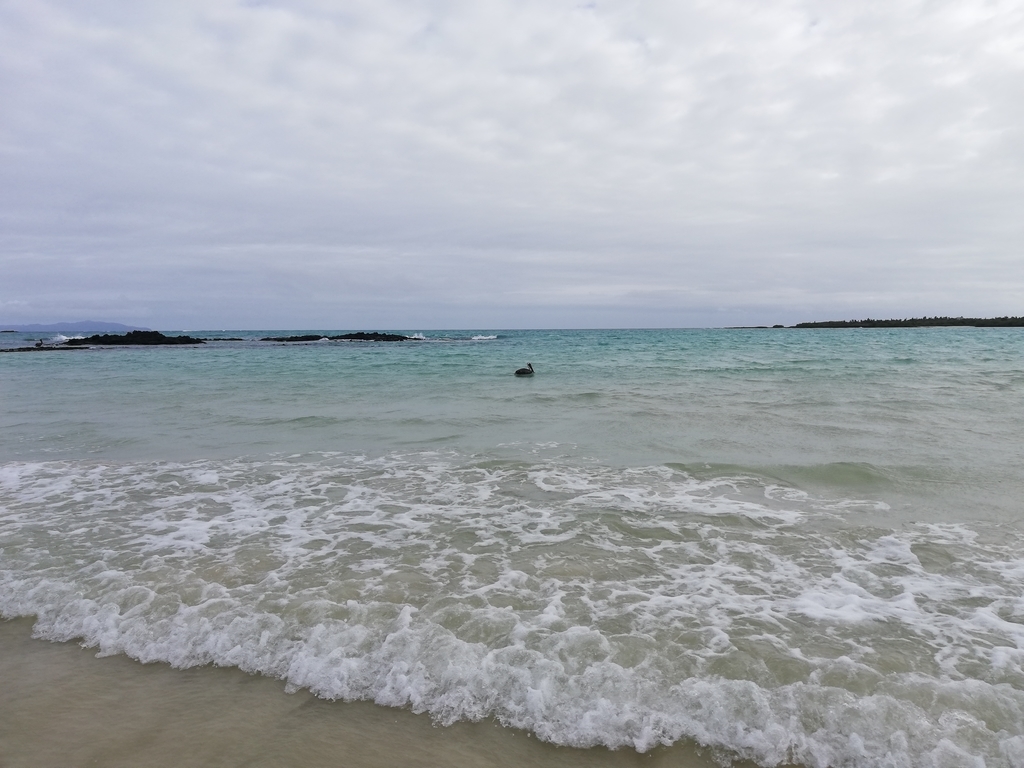 f:id:ahrd:20181228012138j:plain