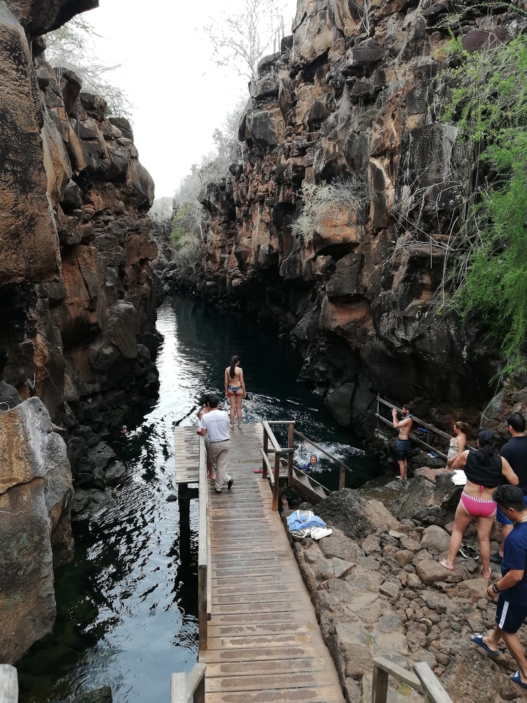 f:id:ahrd:20181228012502j:plain