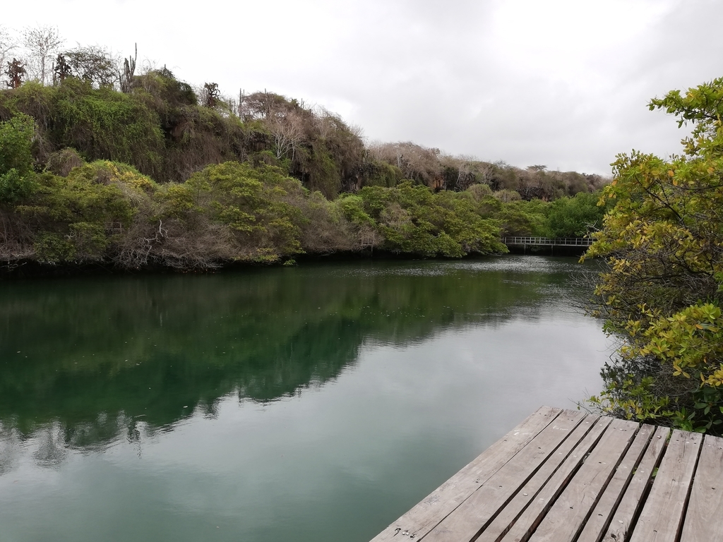 f:id:ahrd:20181228012647j:plain