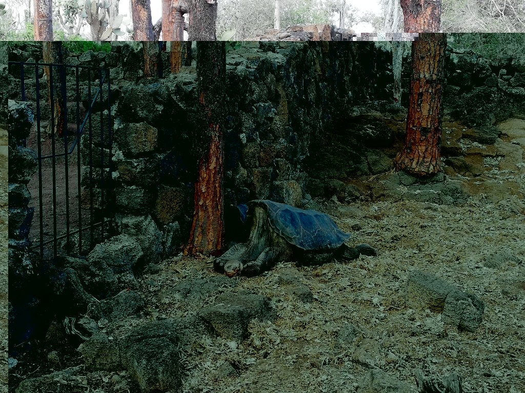 f:id:ahrd:20181228014253j:plain