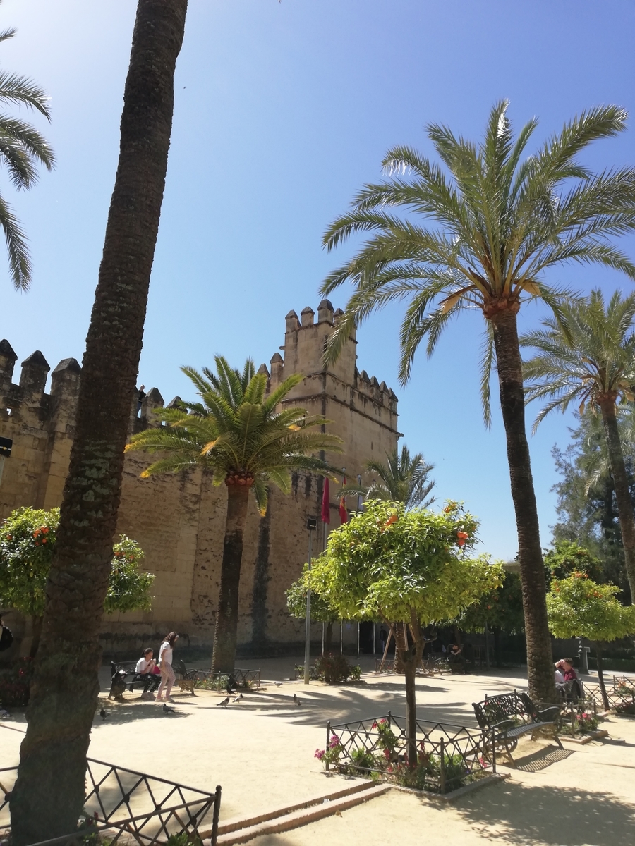 f:id:ahrd:20190418052245j:plain