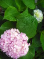 20090528020548