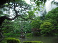 20090617005047