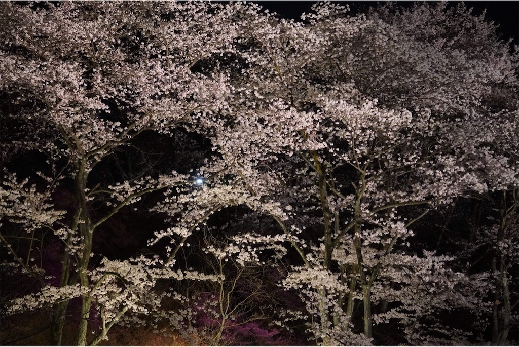 f:id:ai-violinism:20210328222904j:image