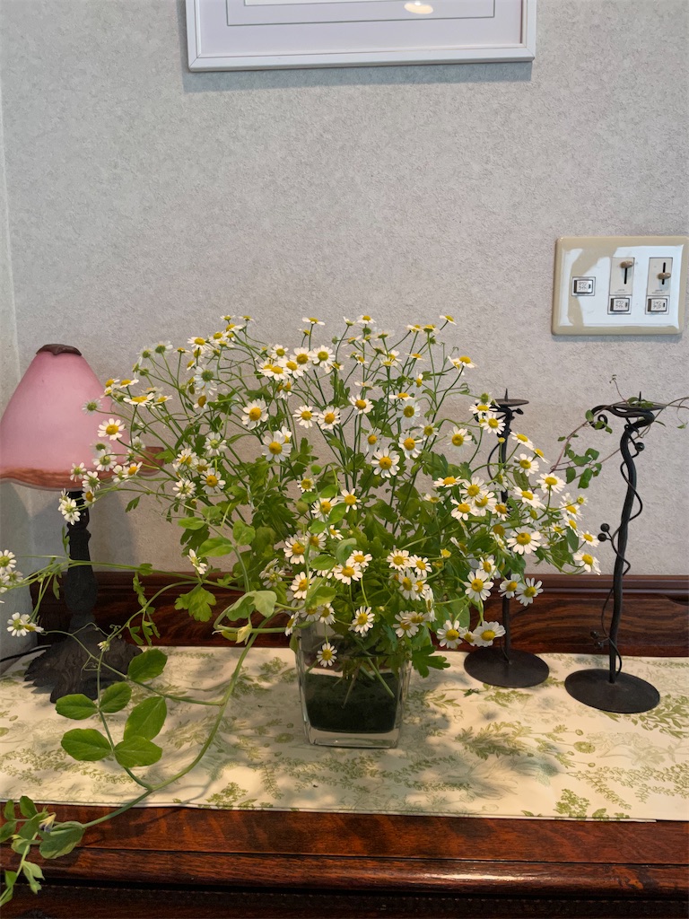 f:id:ai-violinism:20210501152543j:image