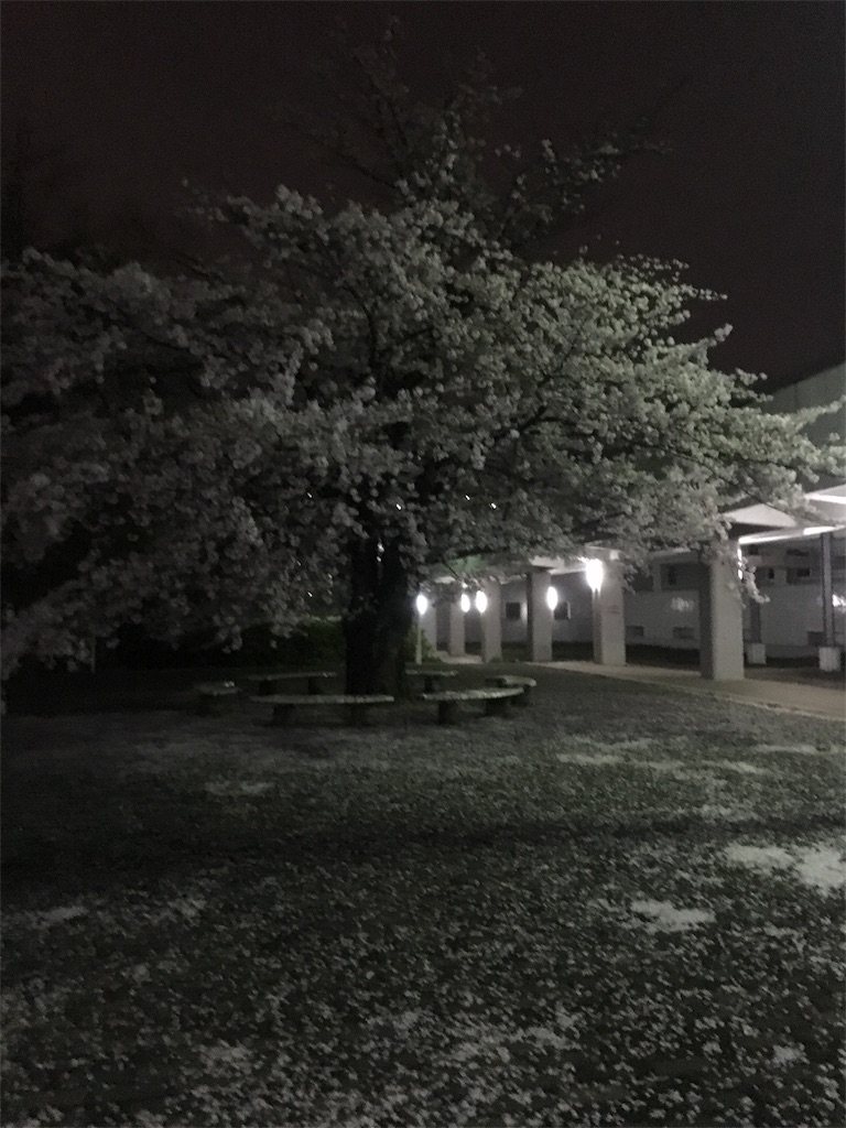 f:id:ai0613:20170411215223j:image f:id:ai0613:20170411215223j:image
