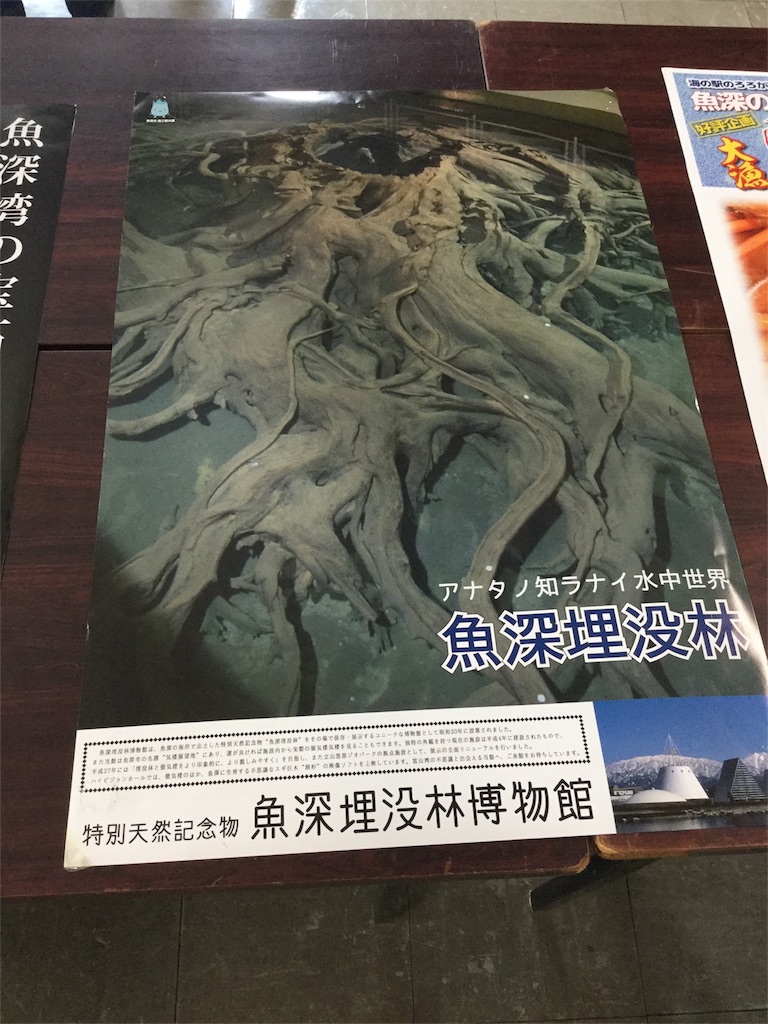 どこまでも魚深市なポスターたち 羊の木ロケ地めぐりツアー その5 とやまおでかけ日記