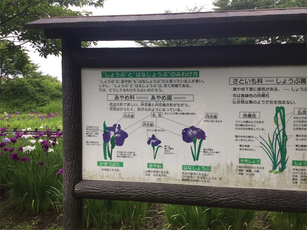 f:id:ai110-12368:20180619083631j:image f:id:ai110-12368:20180619083631j:image