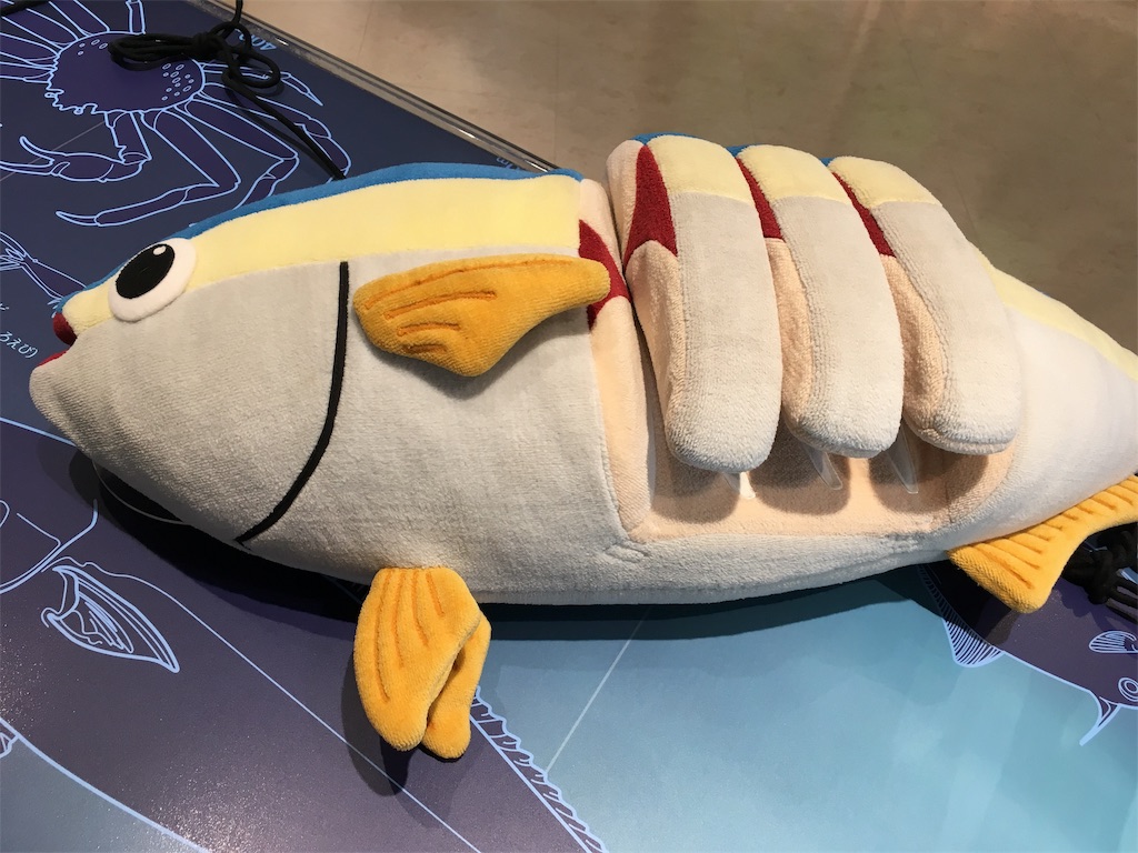 f:id:ai110-12368:20190106222357j:image f:id:ai110-12368:20190106222357j:image