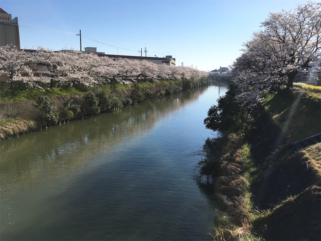 f:id:ai110-12368:20190414125310j:image