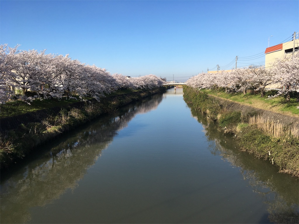f:id:ai110-12368:20190414125313j:image