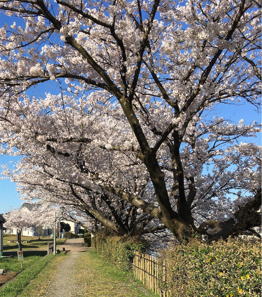 f:id:ai110-12368:20190414125321j:image