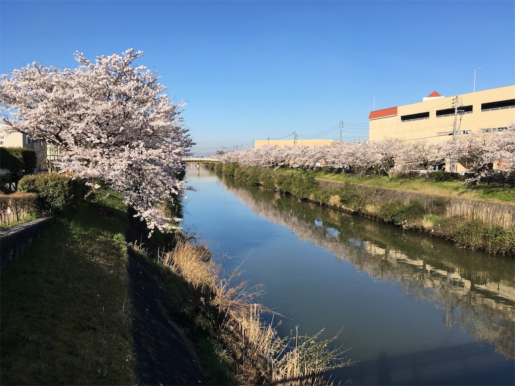 f:id:ai110-12368:20190414125324j:image