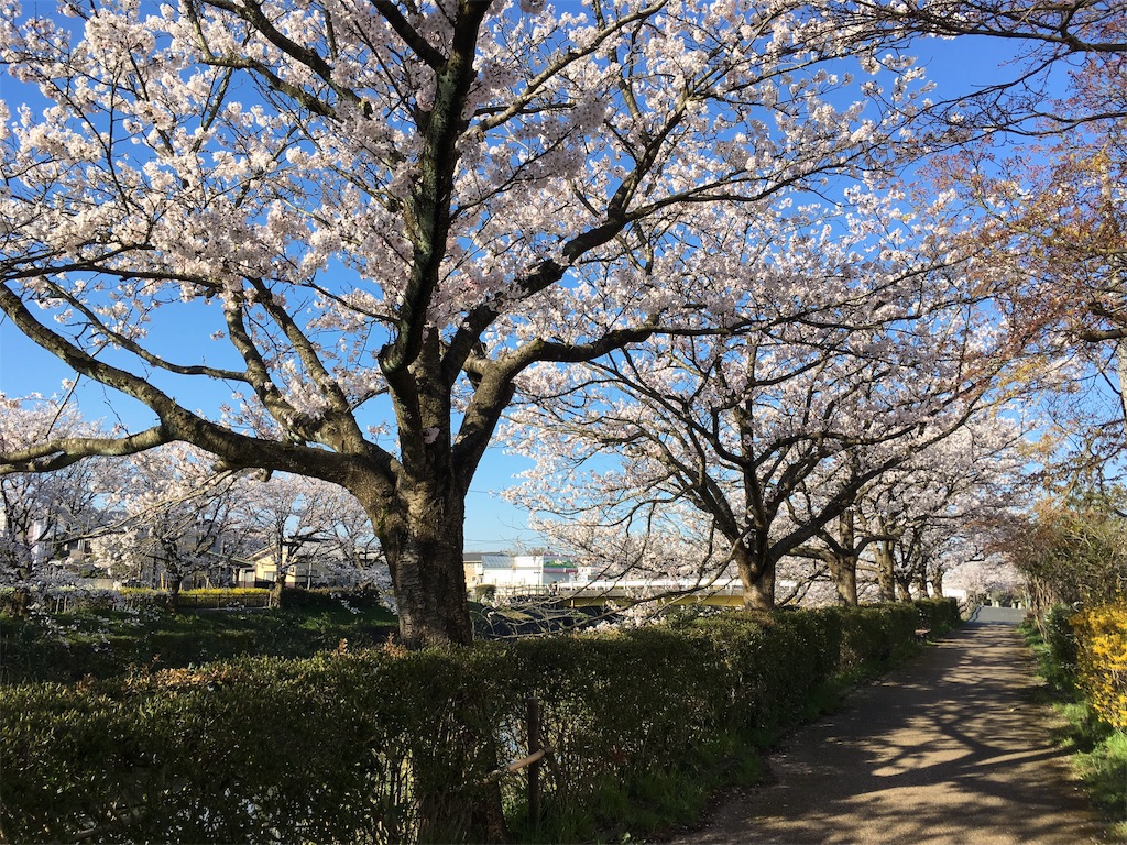 f:id:ai110-12368:20190414125338j:image