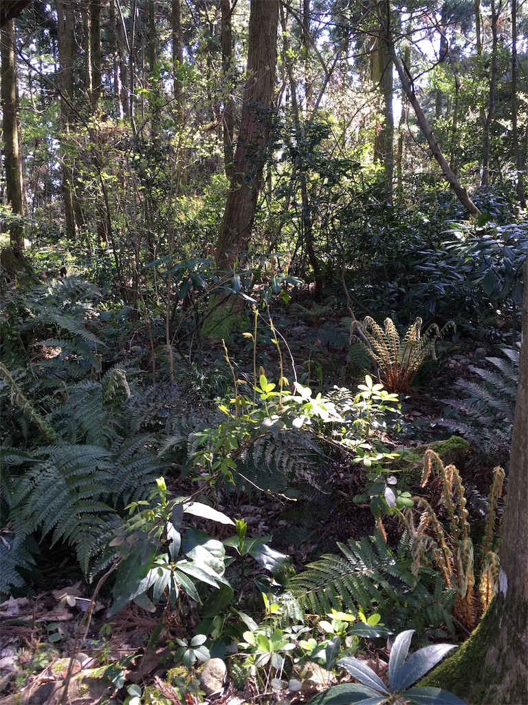 f:id:ai110-12368:20190414134323j:image f:id:ai110-12368:20190414134323j:image