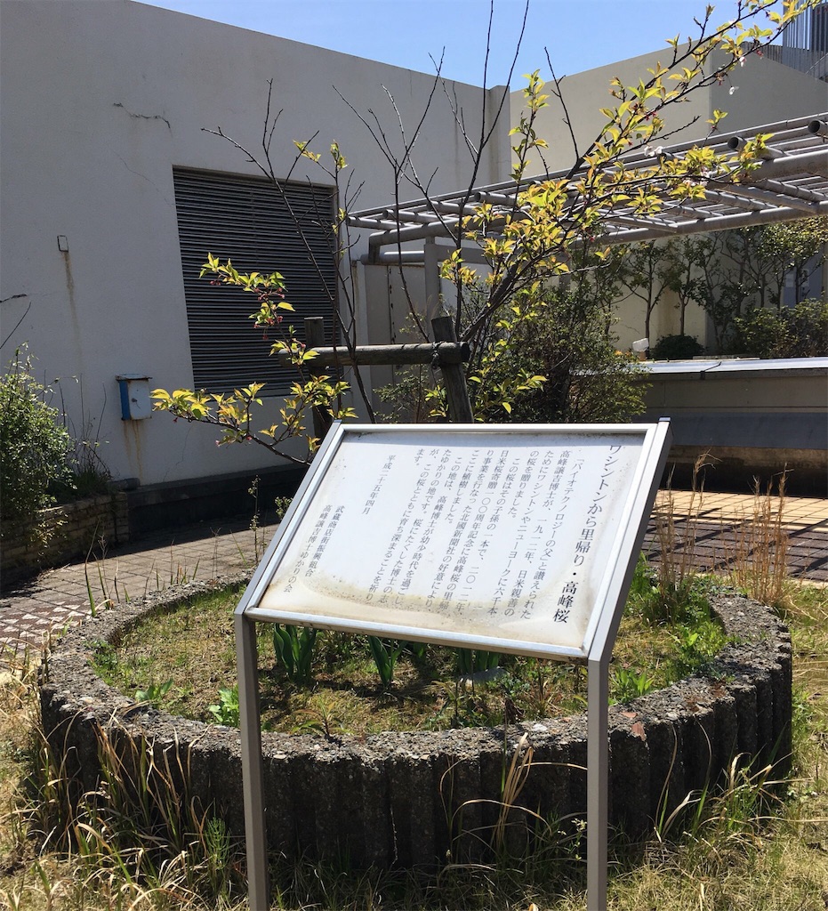 f:id:ai110-12368:20190427091327j:image