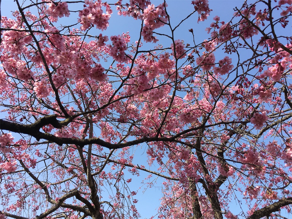 f:id:ai110-12368:20190427093534j:image f:id:ai110-12368:20190427093534j:image