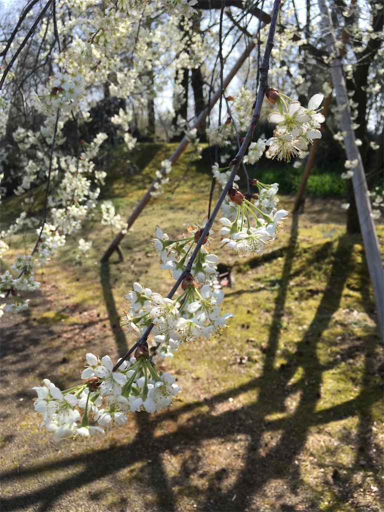 f:id:ai110-12368:20190427093558j:image f:id:ai110-12368:20190427093558j:image