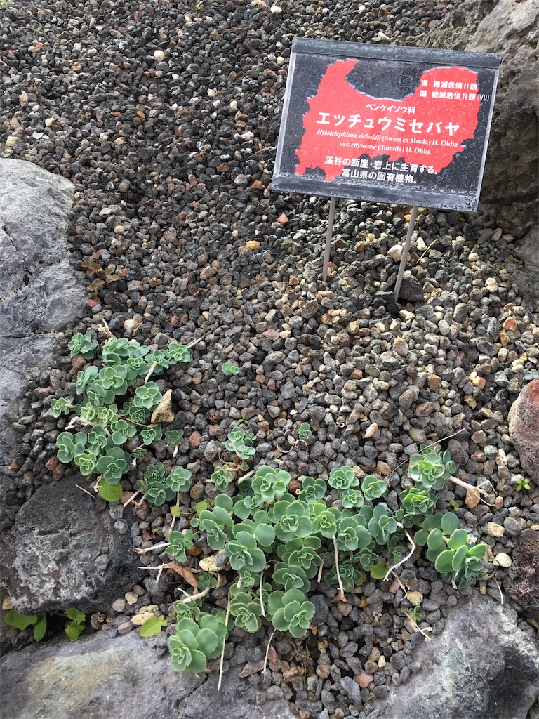 f:id:ai110-12368:20190427093816j:image f:id:ai110-12368:20190427093816j:image