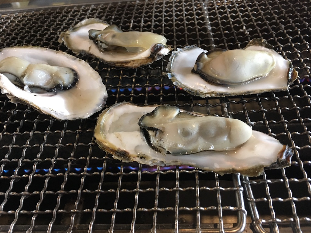 f:id:ai110-12368:20191129093012j:image