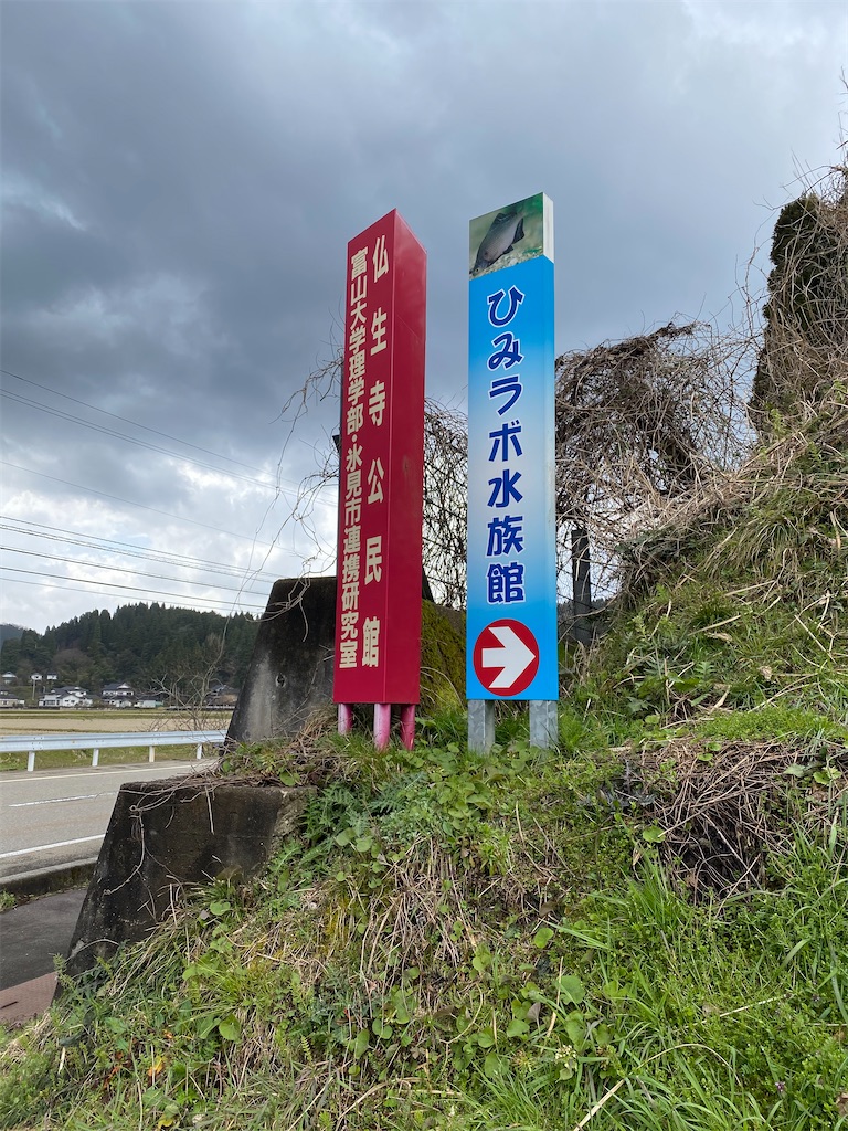 f:id:ai110-12368:20200328103301j:image f:id:ai110-12368:20200328103301j:image
