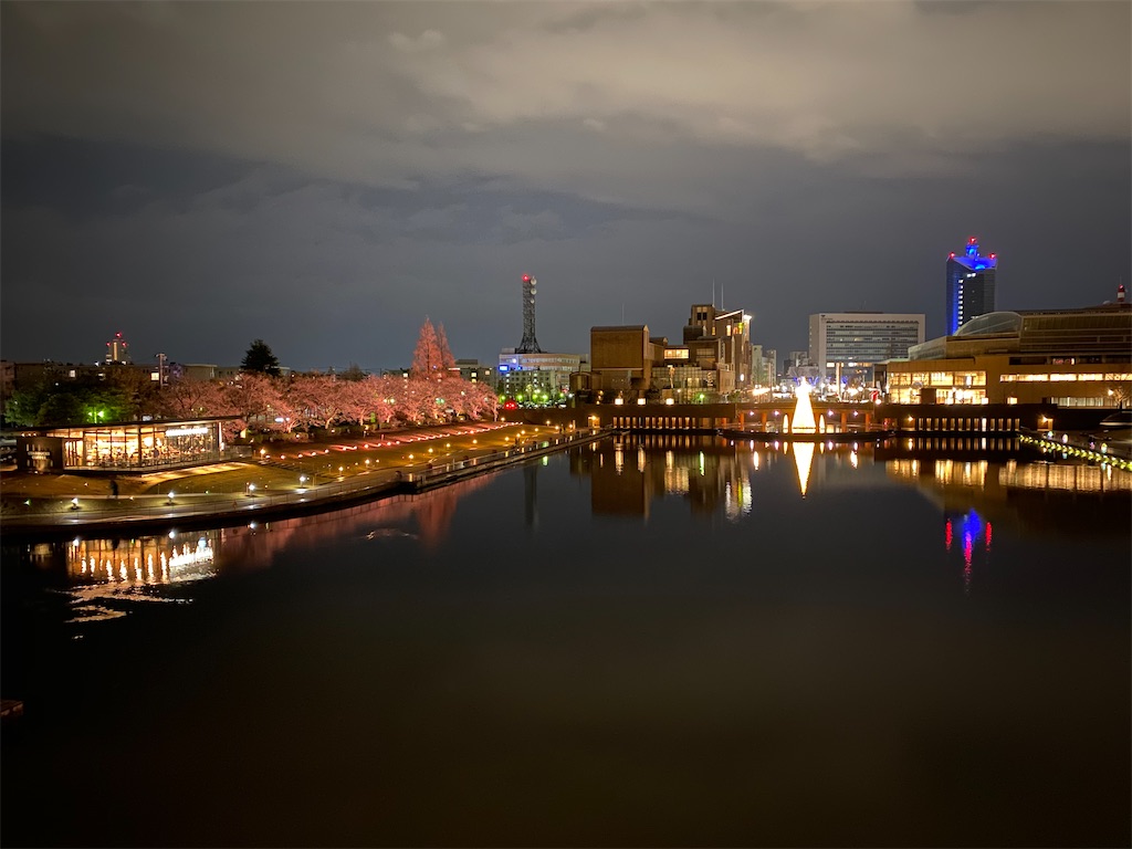 f:id:ai110-12368:20201227164041j:image f:id:ai110-12368:20201227164041j:image