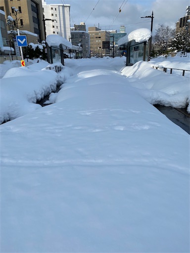 f:id:ai110-12368:20210111200535j:image f:id:ai110-12368:20210111200535j:image