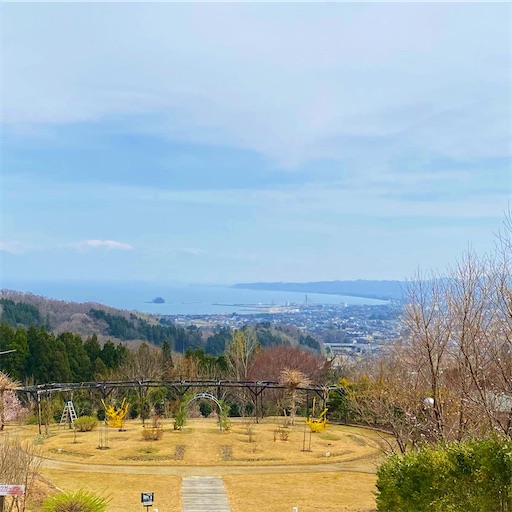 f:id:ai110-12368:20210328165613j:image f:id:ai110-12368:20210328165613j:image