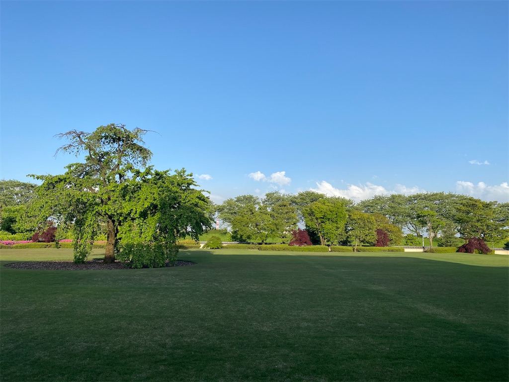 f:id:ai110-12368:20210516173332j:image f:id:ai110-12368:20210516173332j:image