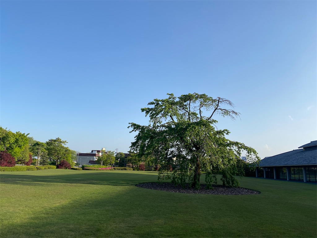 f:id:ai110-12368:20210516173420j:image f:id:ai110-12368:20210516173420j:image