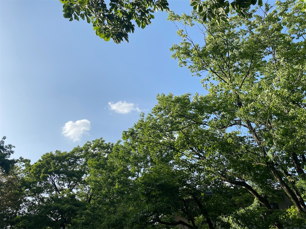 f:id:ai110-12368:20210516173440j:image f:id:ai110-12368:20210516173440j:image