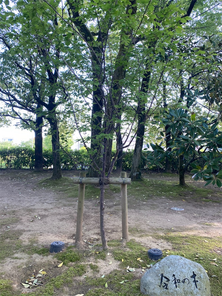 f:id:ai110-12368:20210516173454j:image f:id:ai110-12368:20210516173454j:image